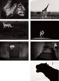 Britta Jaschinski, Light and Dark, London: Self-published, 2015. Seven gelatin silver prints