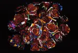 Painting Flower by Nobuyoshi Araki, 2004, Chromogenic print, flush-mounted, printed later, sold May 2015