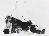 Adou, Leaves of Grass No. 151, 2014, Gelatin silver print, flush-mounted