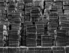 Abelardo Morell, $7 Million, 2006, Gelatin silver print, flush-mounted