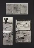 Peter Beard, Selected Images, 1964-1984, Nine gelatin silver prints with ink, presented as three collaged works, all printed later