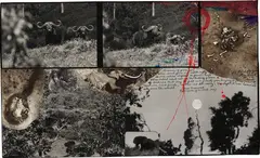 Buffalos and Eles, Abedares by Peter Beard, 1978, Gelatin silver print with ink and affixed gelatin silver prints, printed later, offered Nov 2015