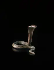 Cobra by Jean Dunand, circa 1914, Patinated bronze, sold Apr 2015