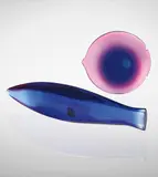 Flavio Poli, Two fish, model nos. 9823 and 9824