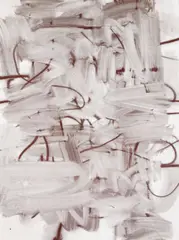 Christopher Wool, Untitled, 2005, silkscreen ink on linen