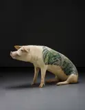 Wim Delvoye, Untitled (Koi), 2008, stuffed and tattooed pig