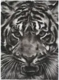 Robert Longo, Study of Tiger Head 4B, 2011, ink and charcoal on vellum