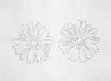 Andy Warhol, Double Daisies, circa 1982, pencil on paper