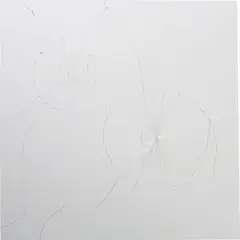 Josephine Meckseper, Das Ende des Panoptikums VII, 2007, mirror on wood panel