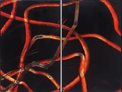 Greeting Card (Armory Diptych) by Aaron Young, 2007, burnt rubber and acrylic on panel in 2 parts, sold Feb 2014