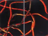 Aaron Young, Greeting Card (Armory Diptych), 2007, burnt rubber and acrylic on panel in 2 parts