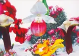 Marc Quinn, Tropical Dawn, 2007, oil and aerosol spray on canvas