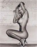 Sante D'Orazio, Pamela Anderson (Profile #6)