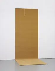 Gedi Sibony, The Beginning is Near, 2008, tape, carpet