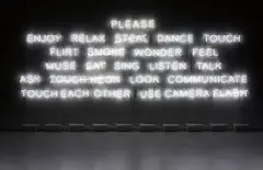 Please... by Jeppe Hein, 2008, neon tubes, 10 transformers, sold Apr 2014