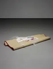 Gedi Sibony, A fact of internal property neither in place nor out of place, 2004-2006, carpet, plastic, duct tape, spraypaint