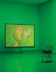 Diana Thater, Perfect Devotion One, 2005, digital projector, DVD player, DVD, free-standing projection screen, wooden chair