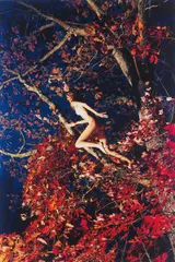 Ryan McGinley, Marieke (Fall Foliage), 2011, c-print