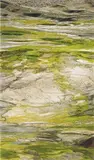 Noriko Furunishi, Untitled (Tecopa G), 2005, c-print, flush-mounted to aluminium