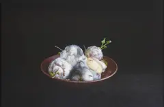 Jeanne Dunning, Still Life with Turnips, 2010, archival pigment print on Hahnemuhle paper