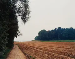 Mais-Acker Nach der ernte n°34, Winterthur by Thomas Struth, 1993, c-print, sold Apr 2014