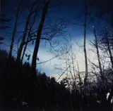 Darren Almond, Fullmoon@Arondine