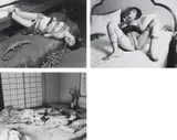 Nobuyoshi Araki, Three works: Untitled