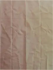 Untitled (Fold) by Tauba Auerbach, 2012, acrylic on canvas, sold Jul 2014