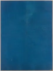 Untitled by Hugh Scott-Douglas, 2012, cyanotype on muslin, in artist's frame, sold Jul 2014
