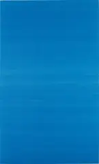 Aaron Bobrow, Untitled, 2011, tarpaulin on wooden stretcher