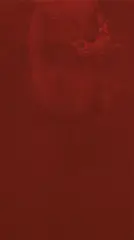 Rosângela Rennó, Untitled (Old Nazi) from the Red Series (Militares), 2000, digital LightJet print on Fuji Crystal Archive paper