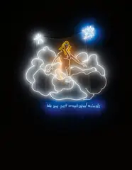 Dan Attoe, Complicated Animals, 2008, neon