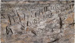 Anselm Kiefer, Für Paul Celan, 2004, oil, emulsion, acrylic, charcoal, plaster, resin, branches on canvas