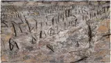 Anselm Kiefer, Für Paul Celan, 2004, oil, emulsion, acrylic, charcoal, plaster, resin, branches on canvas
