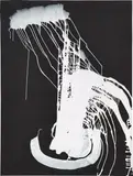 Sigmar Polke, Schüttbild
