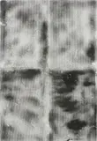 Ryan Estep, No. 4 from the series Silica Sand, 2013, charcoal and silica sand screenprinted on canvas