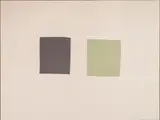Ethan Cook, Untitled, 2013, hand woven cotton canvas collage, in artist’s frame