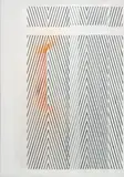 Nathan Hylden, Untitled, 2006, acrylic on linen