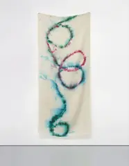 Untitled (Hose Dye, 17) by Sam Falls, 2012, dye on hessian, offered Oct 2014
