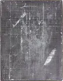 Michiel Ceulers, In Search of Image Nation: A Promise of the Status Quo, 2012, oil, spray paint on linen, in a cardboard artist's frame