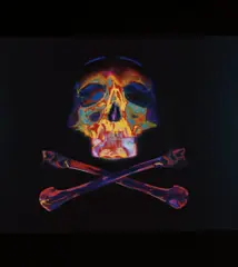 Piotr Uklański, Untitled (Monsieur Francois Pinault, Président du groupe Artemis), 2003, chromogenic print