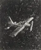 Night Fly (from Pictures of Soil) by Vik Muniz, 1997, gelatin silver print, offered Oct 2014