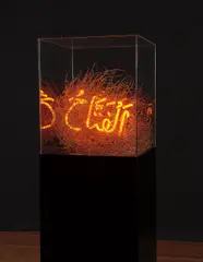 Shezad Dawood, The Judge, 2007, neon, tumbleweed, artist's acrylic glass and enamelled aluminium plinth