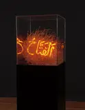 Shezad Dawood, The Judge, 2007, neon, tumbleweed, artist's acrylic glass and enamelled aluminium plinth