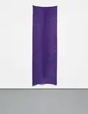 Sam Falls, Untitled, Purple (Val Verde, CA)