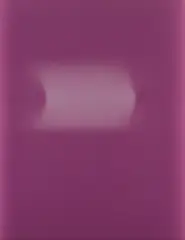Untitled (Roll Fade) by Sam Falls, 2012, sun fade on paper, offered Dec 2014