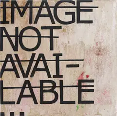 Rero, Sans Titre (Image Not Available), 2010, acrylic, spray paint on canvas
