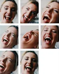 Cry Laughing by Sam Taylor-Johnson, 1997, chromogenic print on aluminium, in eight parts, sold Dec 2014