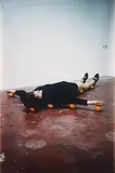 Erwin Wurm, Untitled (One Minute Sculpture)