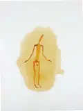 Antony Gormley, Insider XXIV